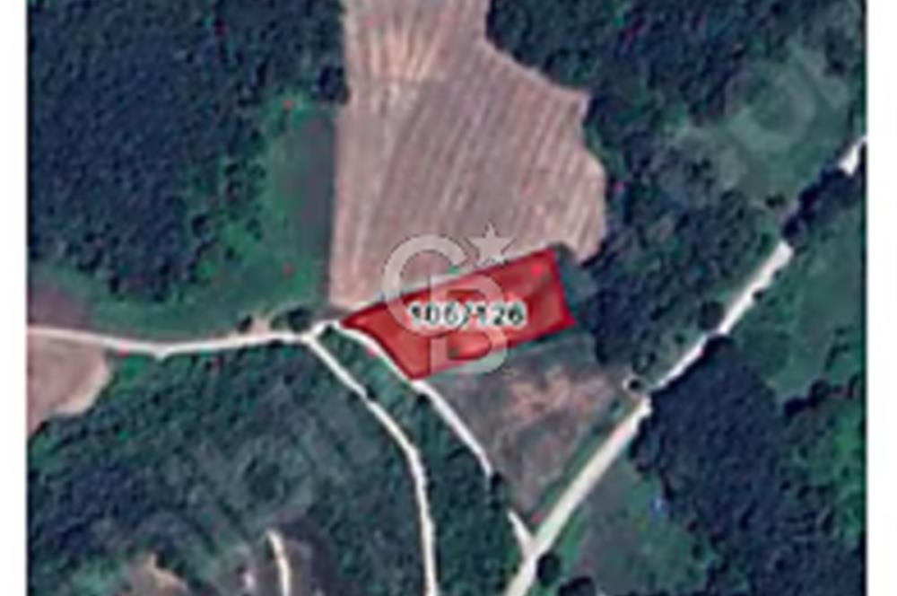 ÇATALCA YAZLIKKÖY'DE SATILIK 120M2 TARLA