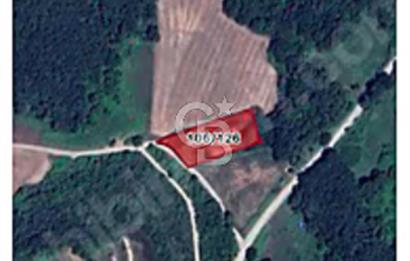 ÇATALCA YAZLIKKÖY'DE SATILIK 120M2 TARLA