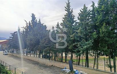 Tavas Bağlar Yaka Mah. Satılık Ultra Lüks Daire 