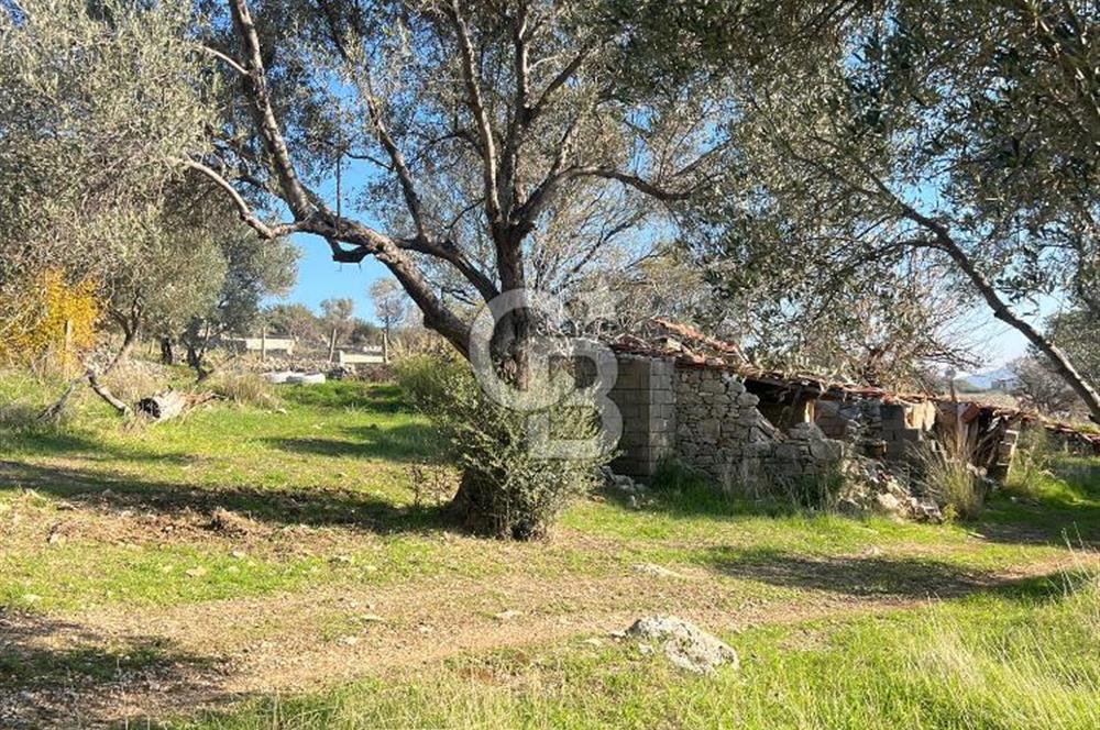 Karaburun Kösedere'de 2290 m² Doğa Manzaralı Düz Zemin Tarla