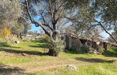 Karaburun Kösedere'de 2290 m² Doğa Manzaralı Düz Zemin Tarla