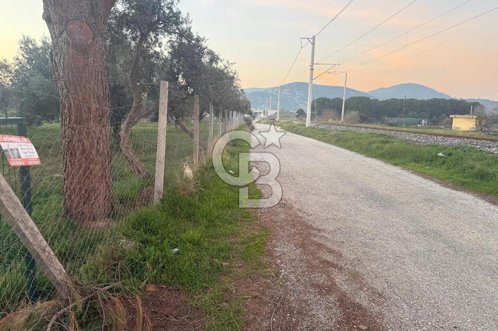 İZMİR BAYINDIR ARIKBAŞI MAHALLESİ’NDE 7.997 m² SATILIK TARLA