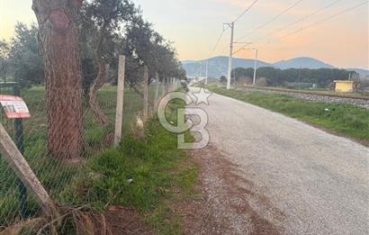 İZMİR BAYINDIR ARIKBAŞI MAHALLESİ’NDE 7.997 m² SATILIK TARLA