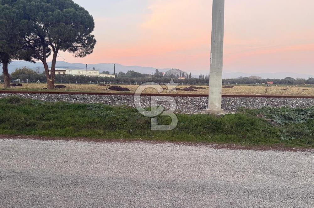 İZMİR BAYINDIR ARIKBAŞI MAHALLESİ’NDE 7.997 m² SATILIK TARLA