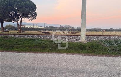 İZMİR BAYINDIR ARIKBAŞI MAHALLESİ’NDE 7.997 m² SATILIK TARLA