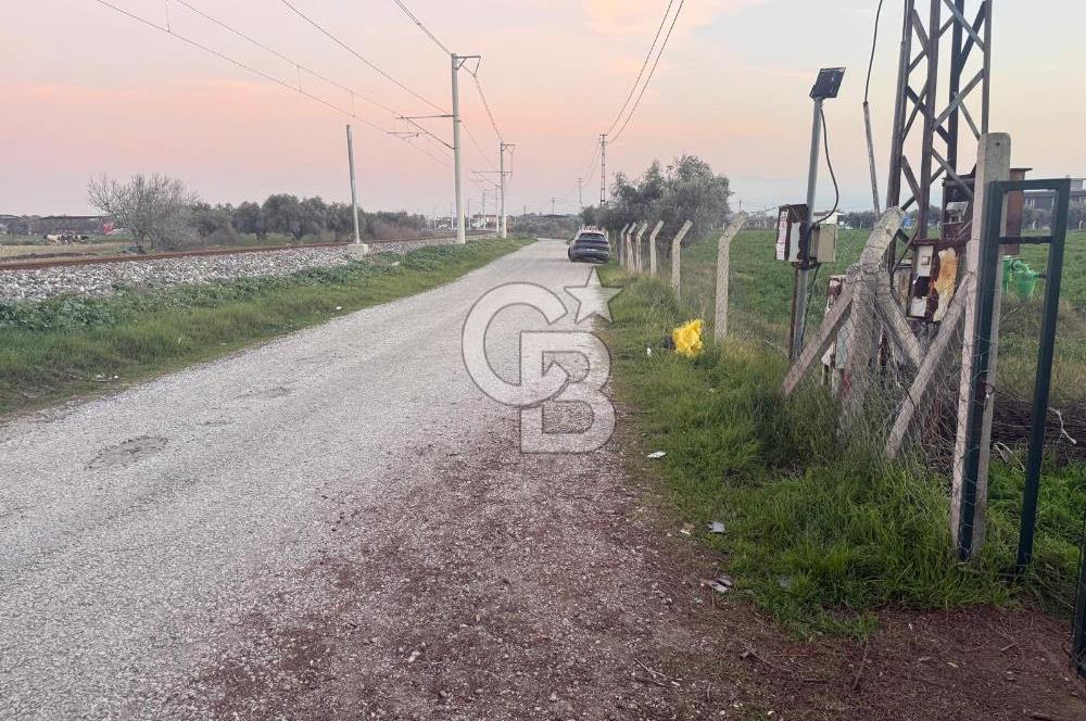 İZMİR BAYINDIR ARIKBAŞI MAHALLESİ’NDE 7.997 m² SATILIK TARLA