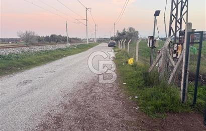 İZMİR BAYINDIR ARIKBAŞI MAHALLESİ’NDE 7.997 m² SATILIK TARLA