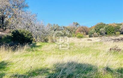 Karaburun Kösedere'de 2290 m² Doğa Manzaralı Düz Zemin Tarla