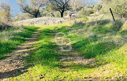 Karaburun Kösedere'de 2290 m² Doğa Manzaralı Düz Zemin Tarla