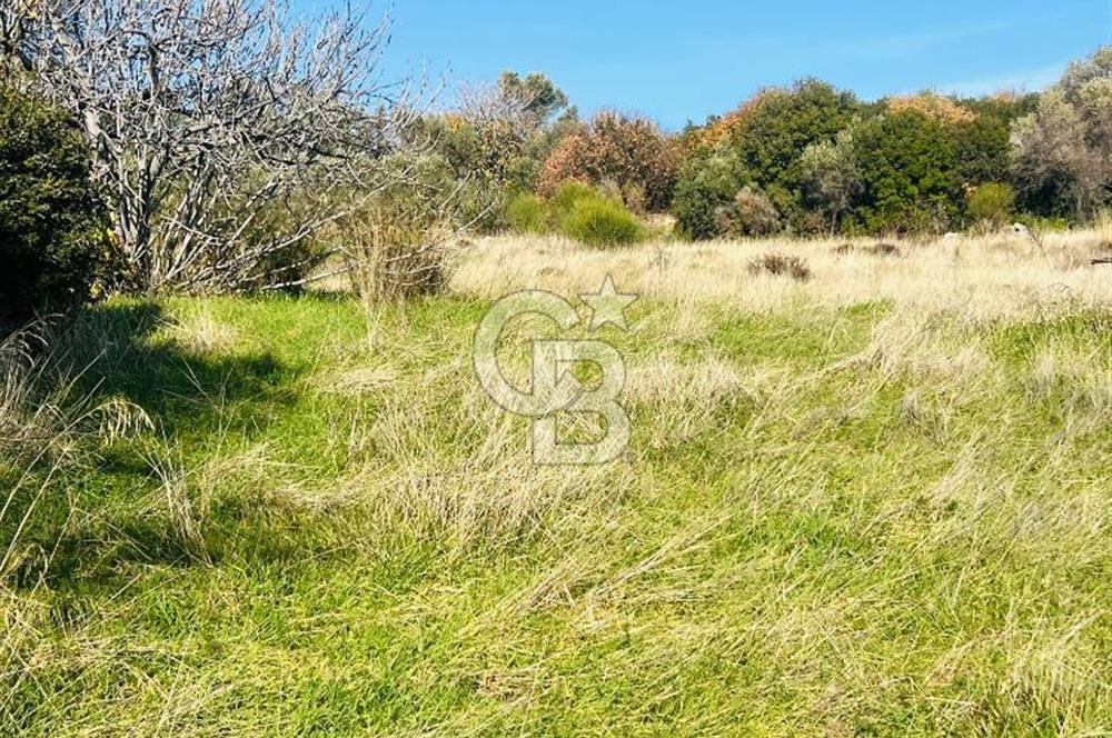 Karaburun Kösedere'de 2290 m² Doğa Manzaralı Düz Zemin Tarla