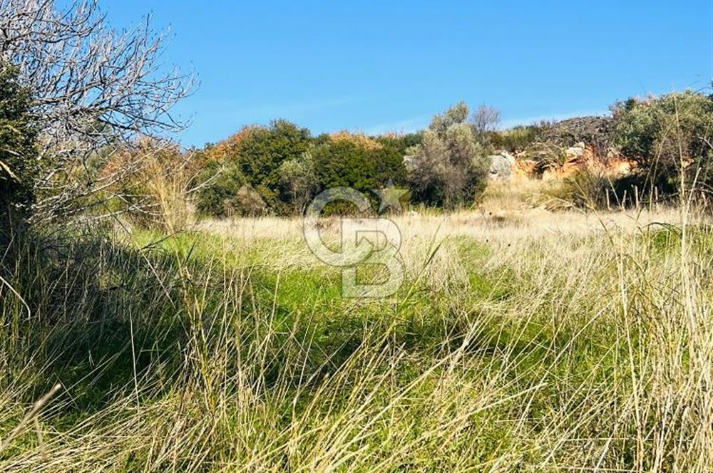 Karaburun Kösedere'de 2290 m² Doğa Manzaralı Düz Zemin Tarla