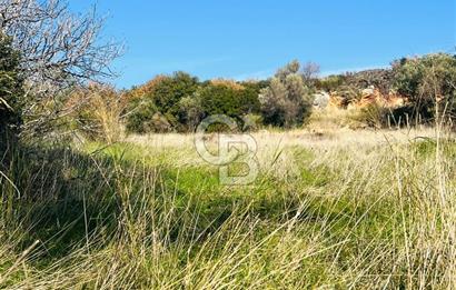 Karaburun Kösedere'de 2290 m² Doğa Manzaralı Düz Zemin Tarla