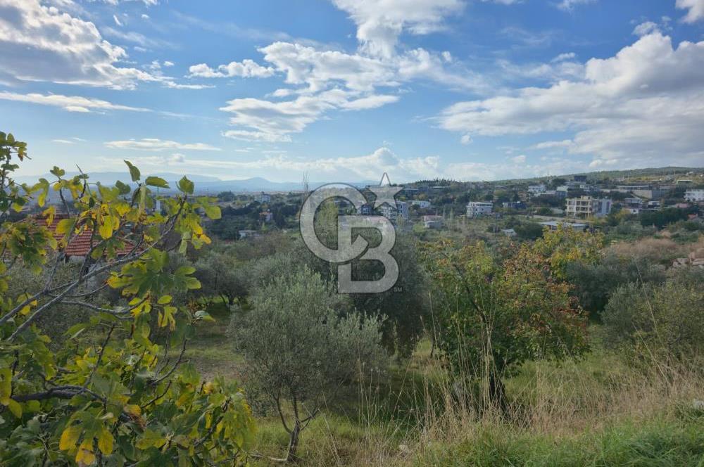 GAZİEMİR SEVGİ MAHALLESİNDE 500M2 TARLA