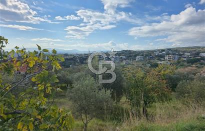 GAZİEMİR SEVGİ MAHALLESİNDE 500M2 TARLA