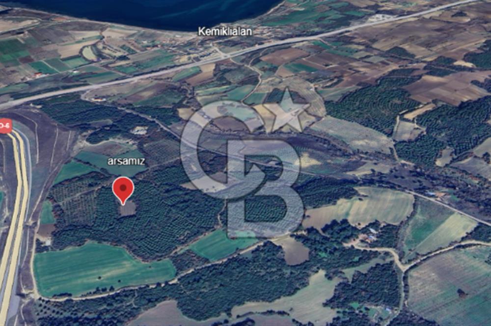 ÇANAKKALE UMURBEY DE YATIRIMLIK 3116 m2 ARAZİ