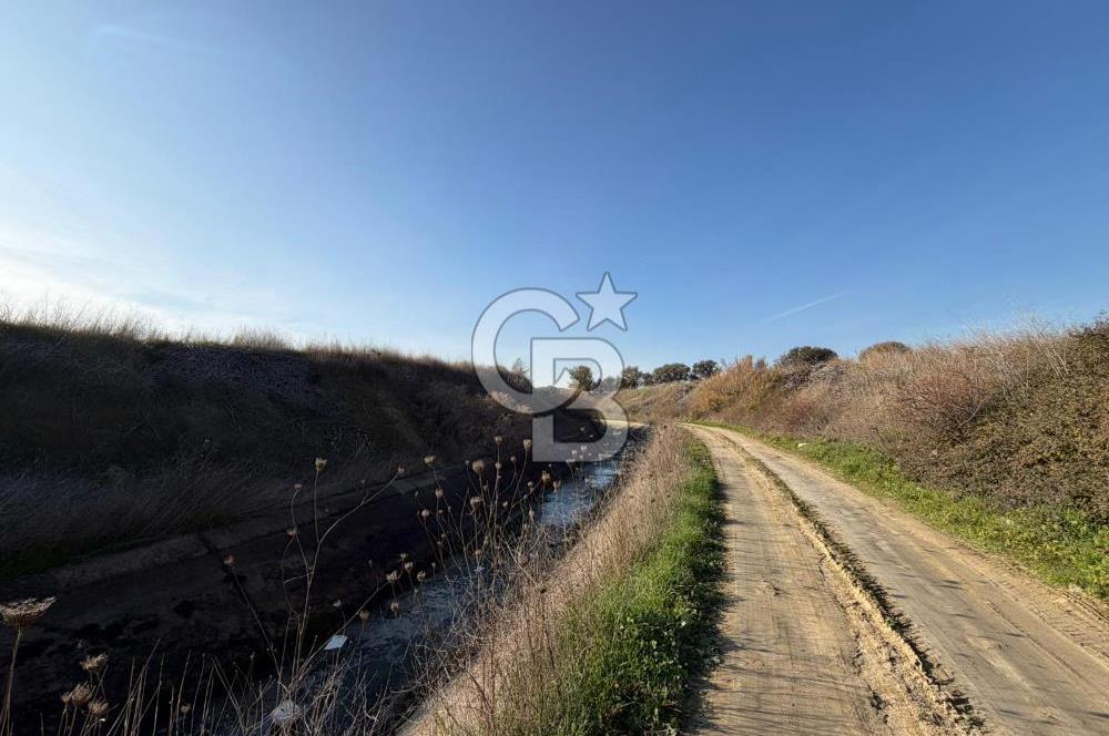 ÇANAKKALE KANGIRLI’DA 6975 m2 SATILIK TARLA