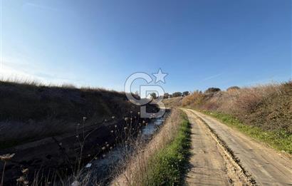 ÇANAKKALE KANGIRLI’DA 6975 m2 SATILIK TARLA