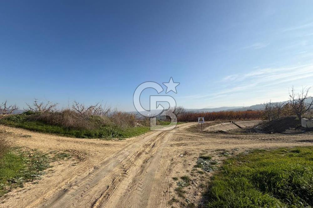 ÇANAKKALE KANGIRLI’DA 6975 m2 SATILIK TARLA