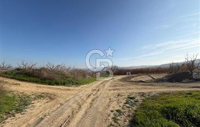 ÇANAKKALE KANGIRLI’DA 6975 m2 SATILIK TARLA