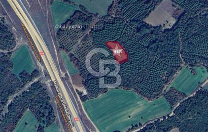 ÇANAKKALE UMURBEY DE YATIRIMLIK 3116 m2 ARAZİ