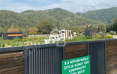 KÖYÜM MUĞLA AKYAKA PROJESİNDE SATILIK TARLA