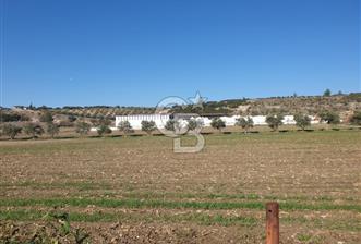 Yatağan'da İzmir Yoluna 50 Metre Mesafede Satılık 5 Dönüm Tarla - 4 - 323002