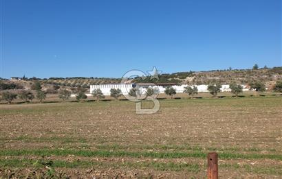 Yatağan'da İzmir Yoluna 50 Metre Mesafede Satılık 5 Dönüm Tarla