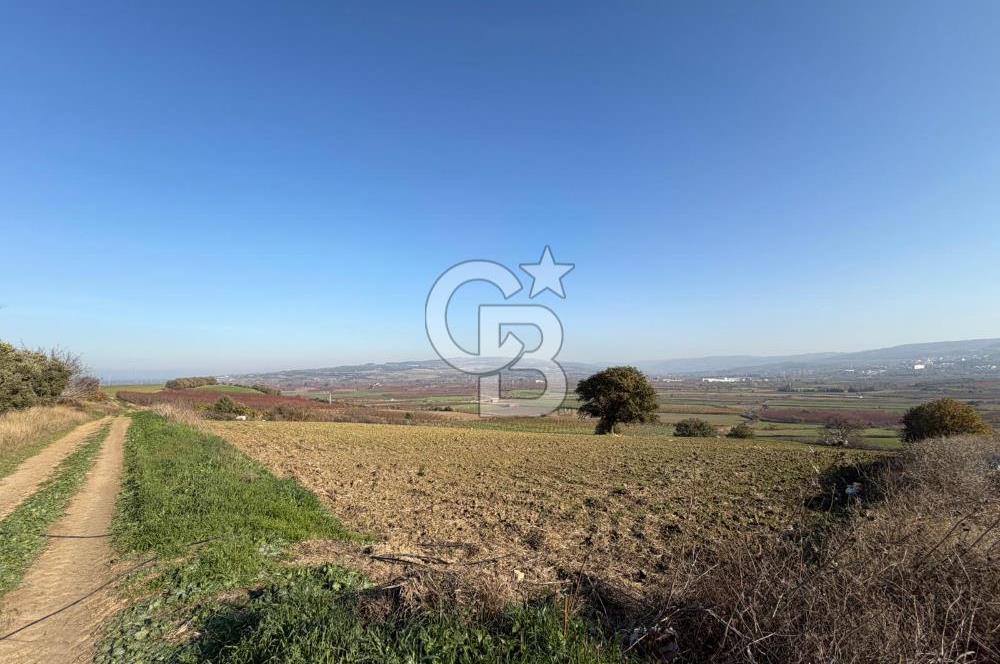 ÇANAKKALE KANGIRLI’DA 6975 m2 SATILIK TARLA