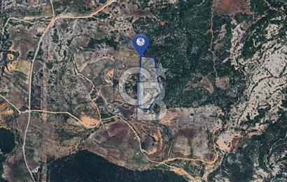 Muğla Menteşe İkizcede Büyük Ölçekli Tarla 40 Dönüm