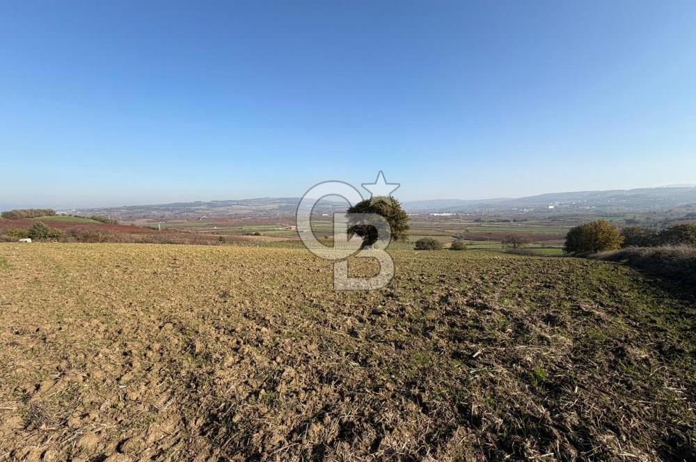 ÇANAKKALE KANGIRLI’DA 6975 m2 SATILIK TARLA