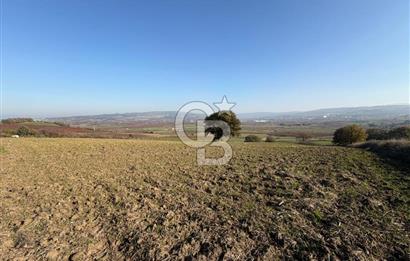ÇANAKKALE KANGIRLI’DA 6975 m2 SATILIK TARLA