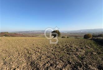 ÇANAKKALE KANGIRLI’DA 6975 m2 SATILIK TARLA - 5 - 323029