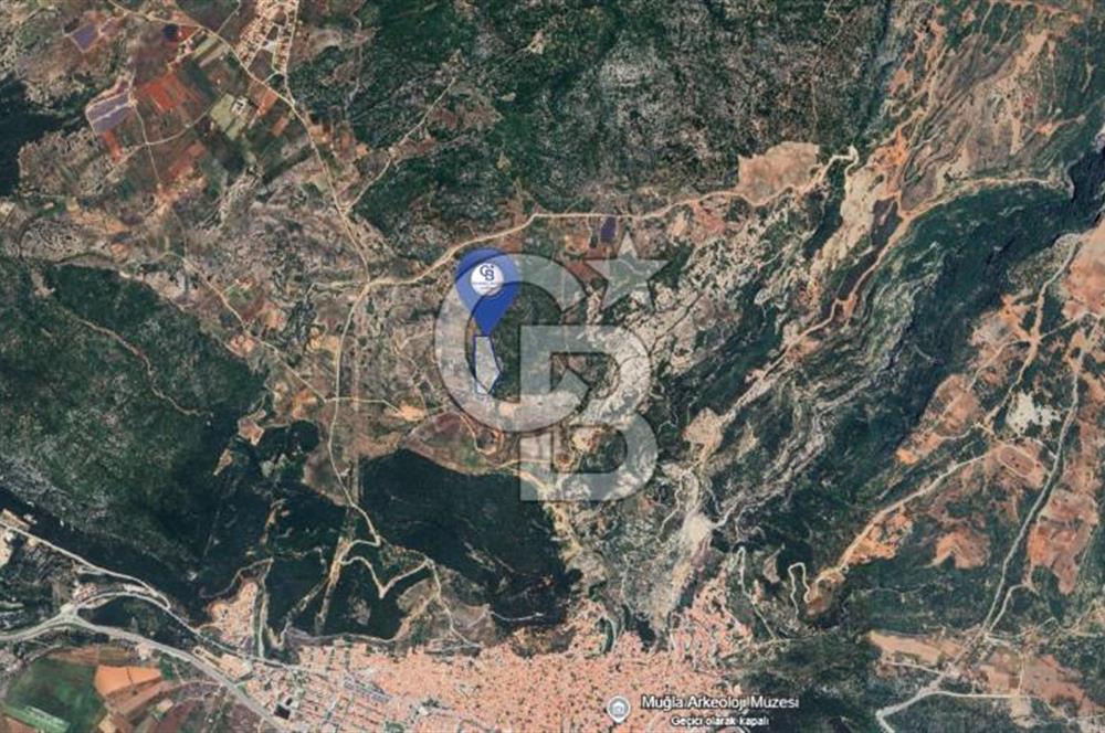 Muğla Menteşe İkizcede Büyük Ölçekli Tarla 40 Dönüm