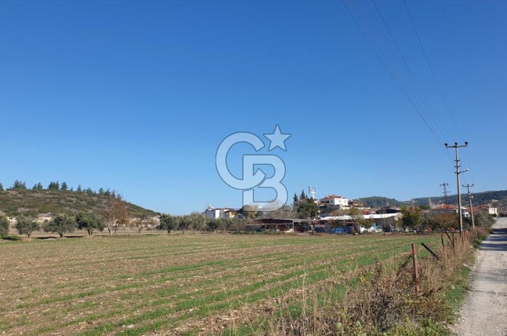 Yatağan'da İzmir Yoluna 50 Metre Mesafede Satılık 5 Dönüm Tarla