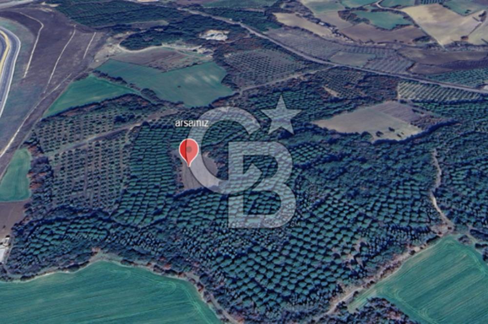 ÇANAKKALE UMURBEY DE YATIRIMLIK 3116 m2 ARAZİ