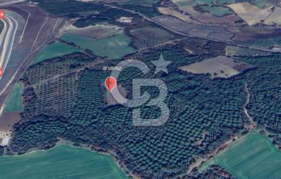 ÇANAKKALE UMURBEY DE YATIRIMLIK 3116 m2 ARAZİ