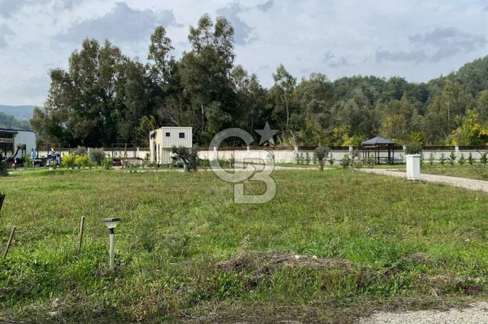 KÖYÜM MUĞLA AKYAKA PROJESİNDE SATILIK TARLA