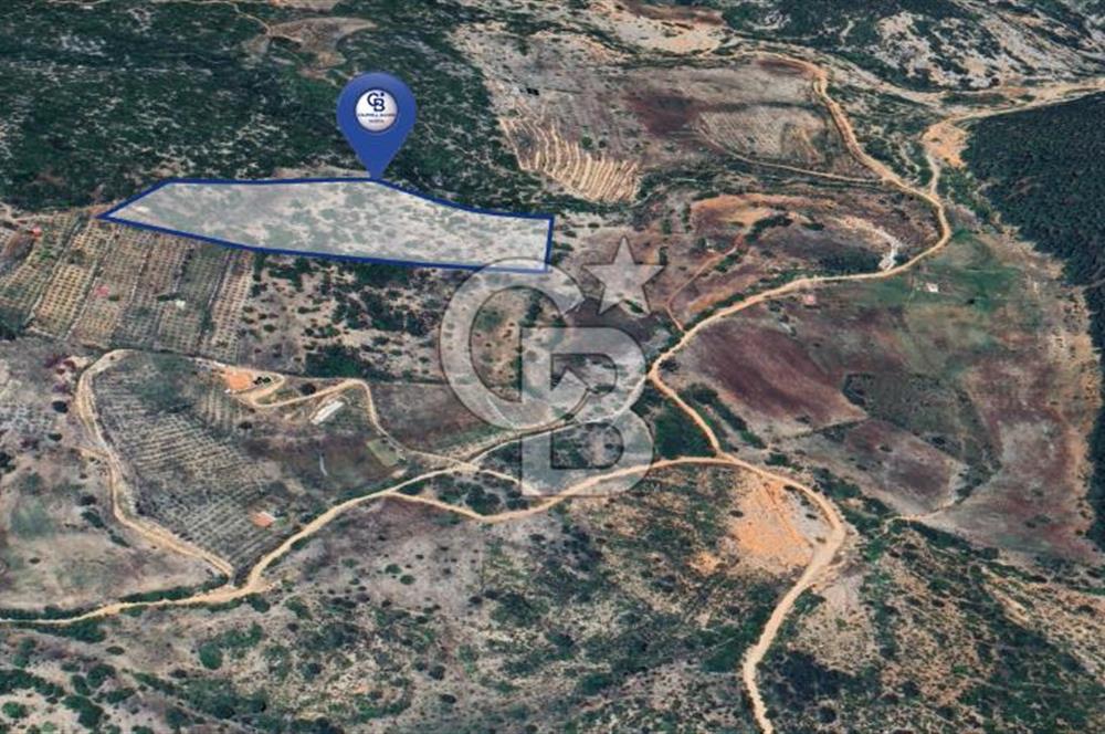 Muğla Menteşe İkizcede Büyük Ölçekli Tarla 40 Dönüm