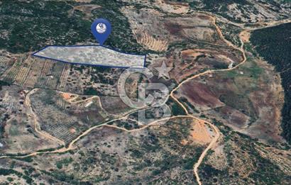 Muğla Menteşe İkizcede Büyük Ölçekli Tarla 40 Dönüm