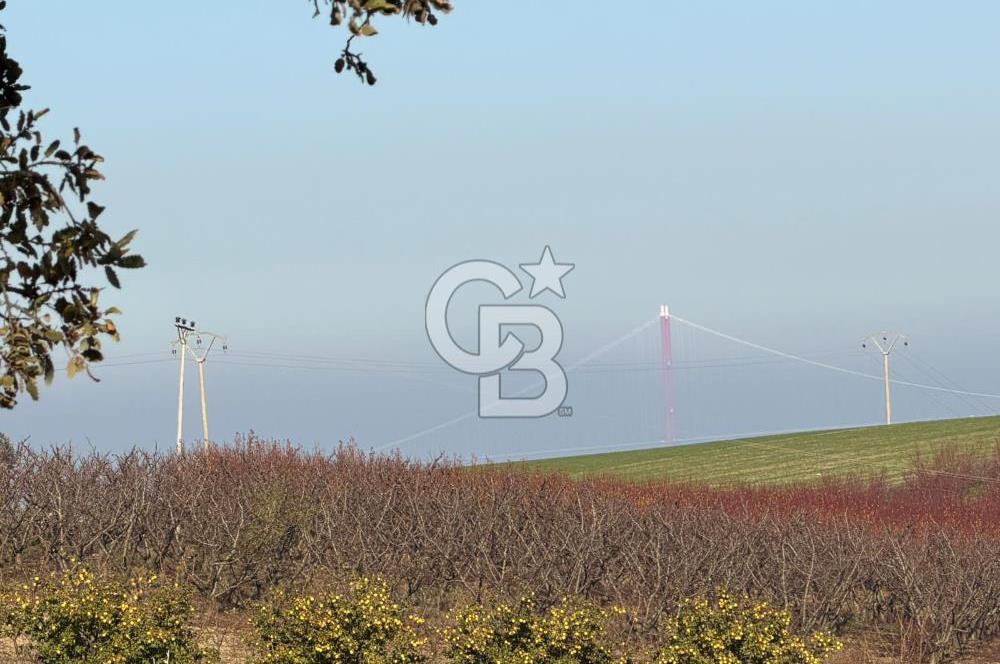 ÇANAKKALE KANGIRLI’DA 6975 m2 SATILIK TARLA