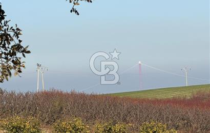 ÇANAKKALE KANGIRLI’DA 6975 m2 SATILIK TARLA