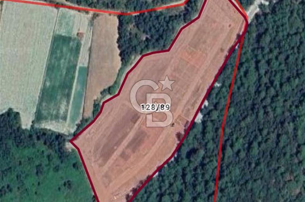 KÖYÜM MUĞLA AKYAKA PROJESİNDE SATILIK TARLA