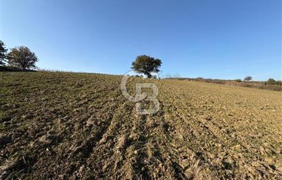 ÇANAKKALE KANGIRLI’DA 6975 m2 SATILIK TARLA