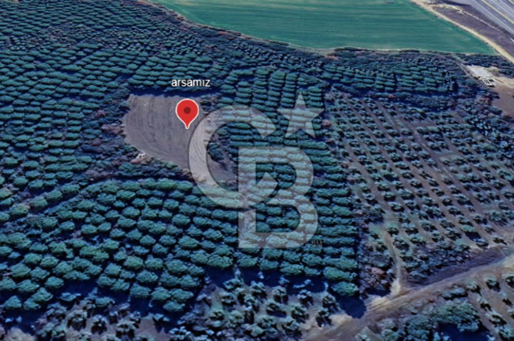 ÇANAKKALE UMURBEY DE YATIRIMLIK 3116 m2 ARAZİ