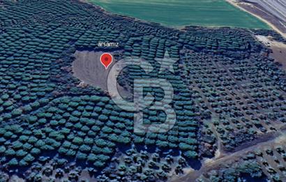 ÇANAKKALE UMURBEY DE YATIRIMLIK 3116 m2 ARAZİ