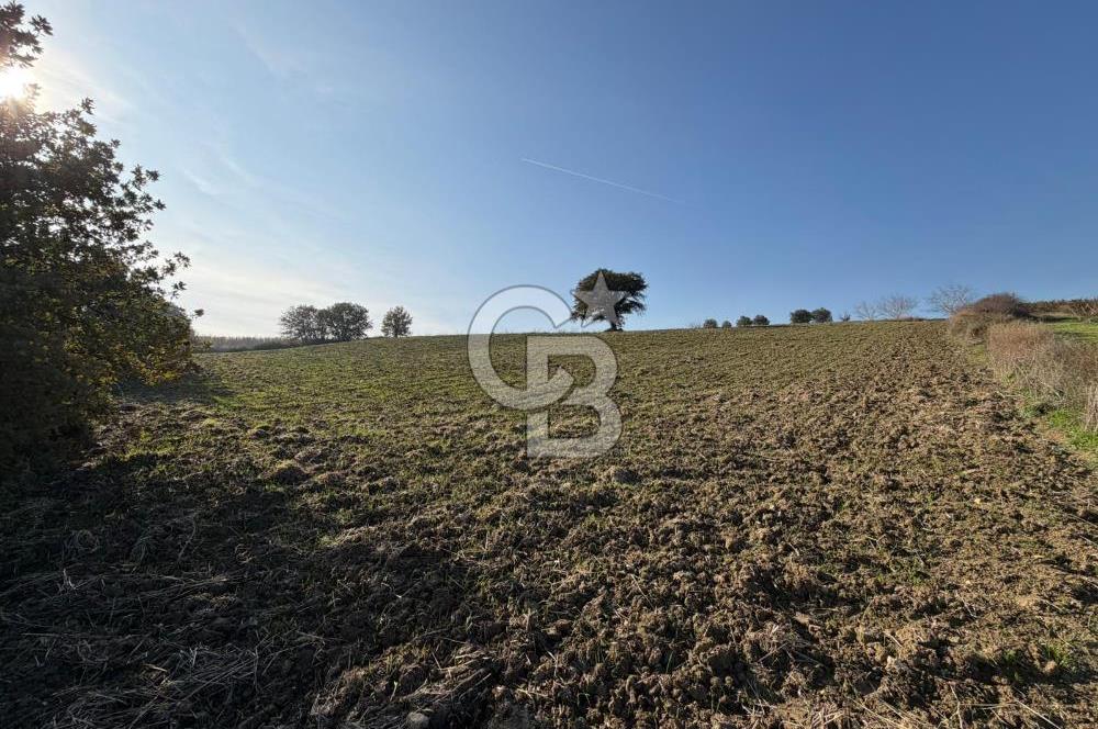 ÇANAKKALE KANGIRLI’DA 6975 m2 SATILIK TARLA