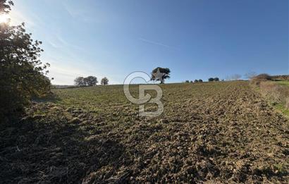 ÇANAKKALE KANGIRLI’DA 6975 m2 SATILIK TARLA