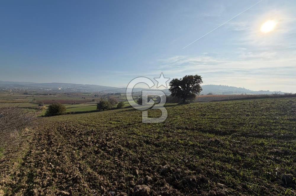 ÇANAKKALE KANGIRLI’DA 6975 m2 SATILIK TARLA