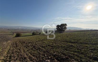 ÇANAKKALE KANGIRLI’DA 6975 m2 SATILIK TARLA