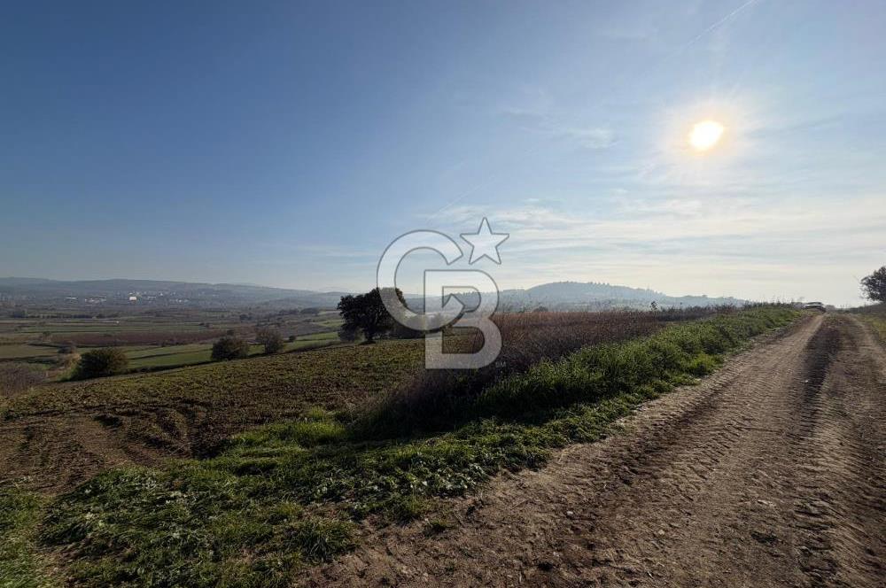 ÇANAKKALE KANGIRLI’DA 6975 m2 SATILIK TARLA